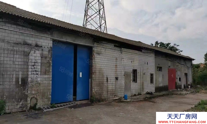 (出租) 南昌東湖區揚子洲揚農路獨院廠房500平出租