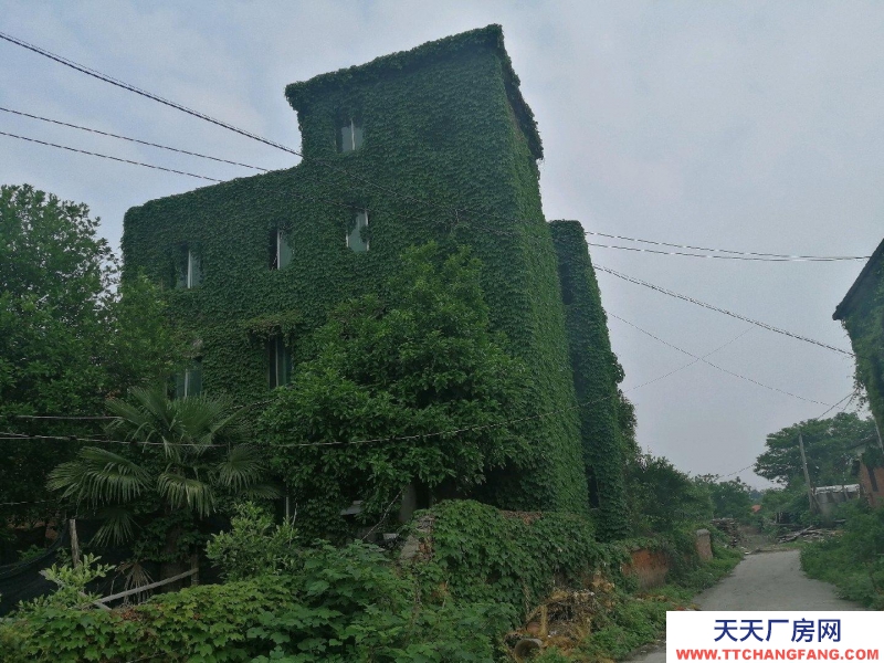 (出租) 南昌東湖區獨棟民房，可做倉庫或小型加工價格實惠。