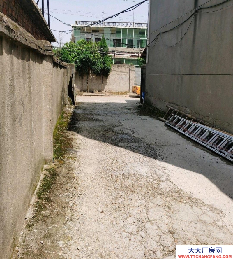 (出租) 南昌東湖區廠房1000平。可分租。進大車,距市中心5車程