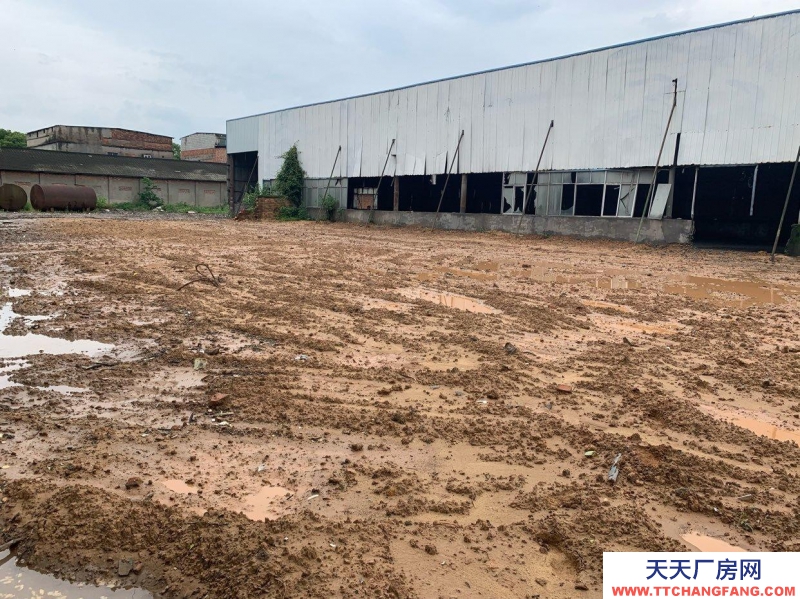 (出租) 南昌東湖區(qū)村委會(huì)自有廠房,有意者可以來現(xiàn)場看場地,價(jià)格面議。