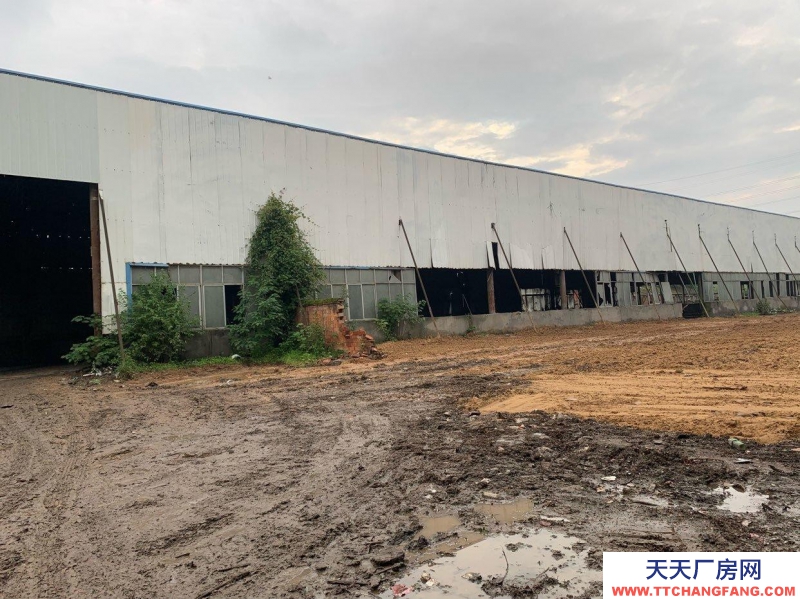 (出租) 南昌東湖區(qū)村委會(huì)自有廠房,有意者可以來現(xiàn)場看場地,價(jià)格面議。