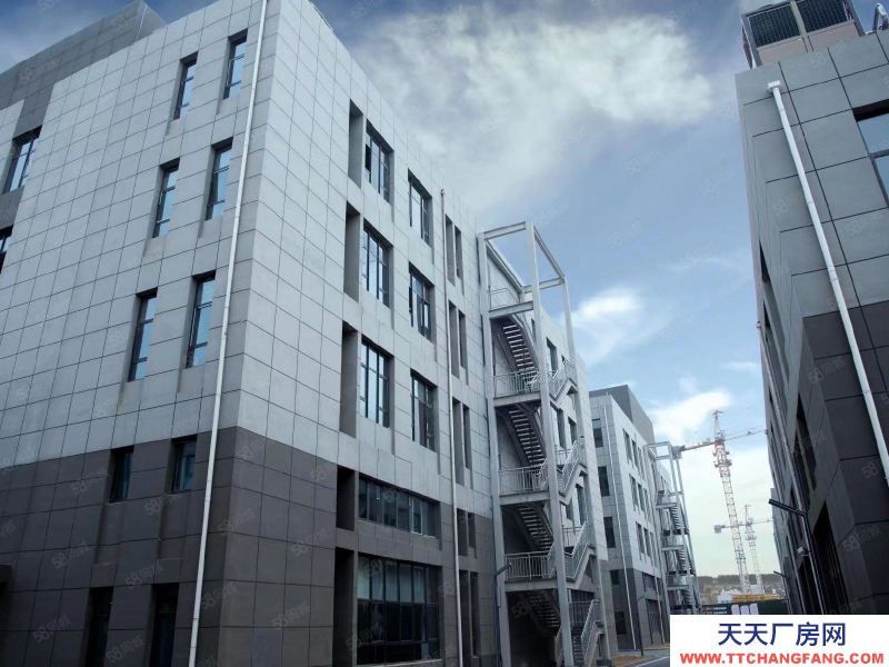 (出售) 交投集團開發綜改區中小企業園