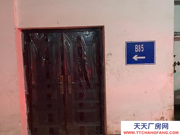 (出租) 個人倉庫 無中介費 適合電商、倉儲