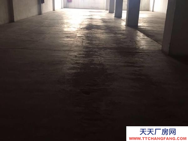 (出租) 鄭州金水區(qū)南陽(yáng)路黃河路、倉(cāng)庫(kù)1000平可整租可分割