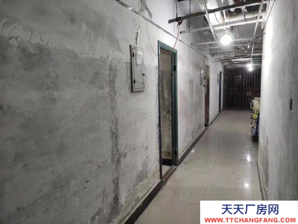 (出租) 鄭州金水出租金水大石橋時尚PARTY 可辦公可倉庫