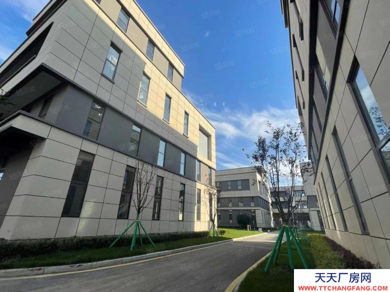 (出售) 獨棟廠房出售 首層7.8m 柱距9m 50年產權可按揭