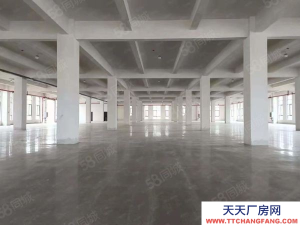 七甸每層500-800平食品加工