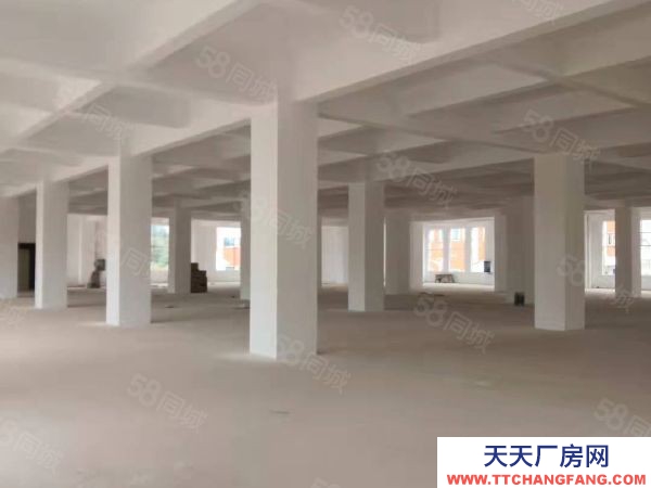 七甸每層500-800平食品加工