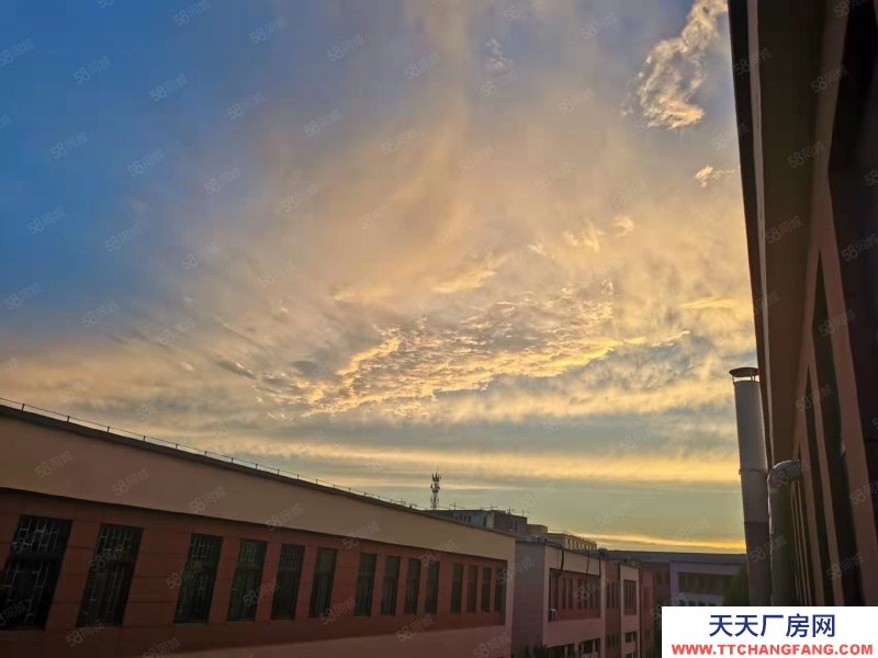 濟(jì)南長清房東直租 長清聯(lián)東U谷1700平園區(qū)廠房誠意出租