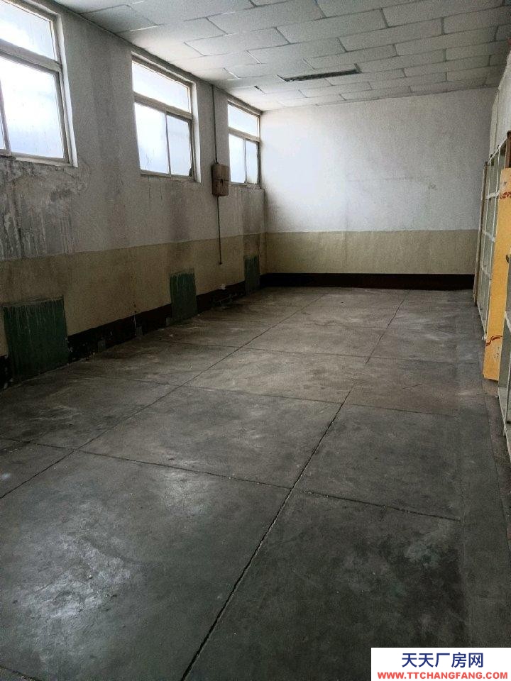 (出租) 府西街國貿(mào)大廈附近庫房出租