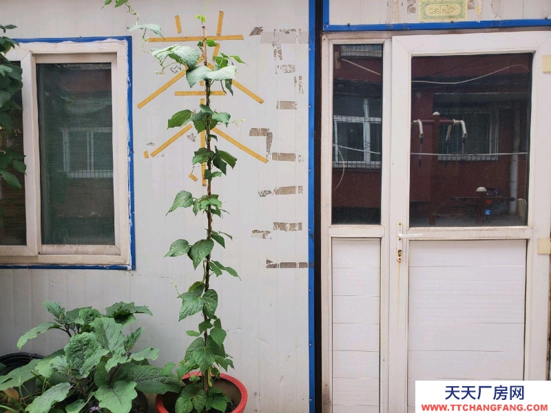 (出租) 彩鋼房，機(jī)關(guān)院內(nèi)，臨南海街商圈