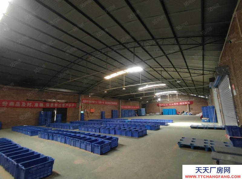 (出租) 廠房 倉庫出租 1000平可分租可整租西中環長興南街口位置優