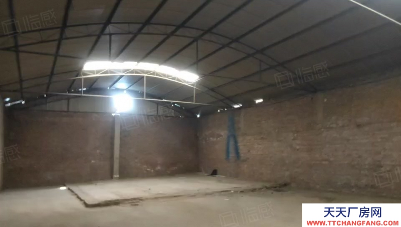 (出租) 廠房 倉庫出租 300平1000平可分租可整租西中環長興南街