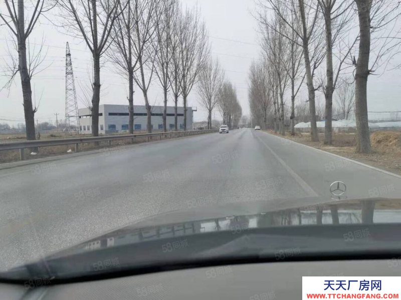 濟南濟陽出租濟陽垛石省道邊新建獨院廠房