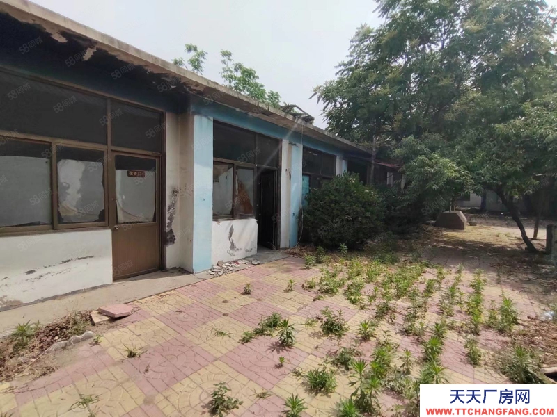 石家莊 欒城區冶河廠房710平245平600平分租整租