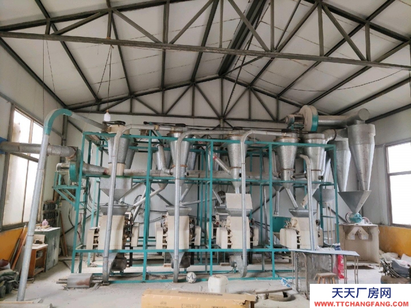 石家莊 行唐 彩鋼房，推拉門，前后多個窗戶。