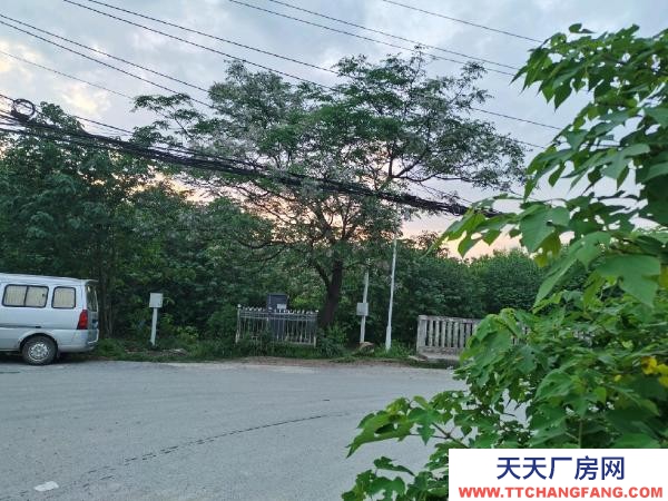 (出租)武漢青山房東直租免中介費鋼結(jié)構(gòu)三間