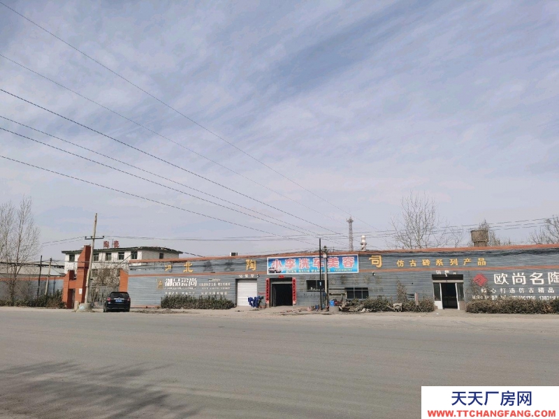 石家莊 高邑面積約50畝，租金可談