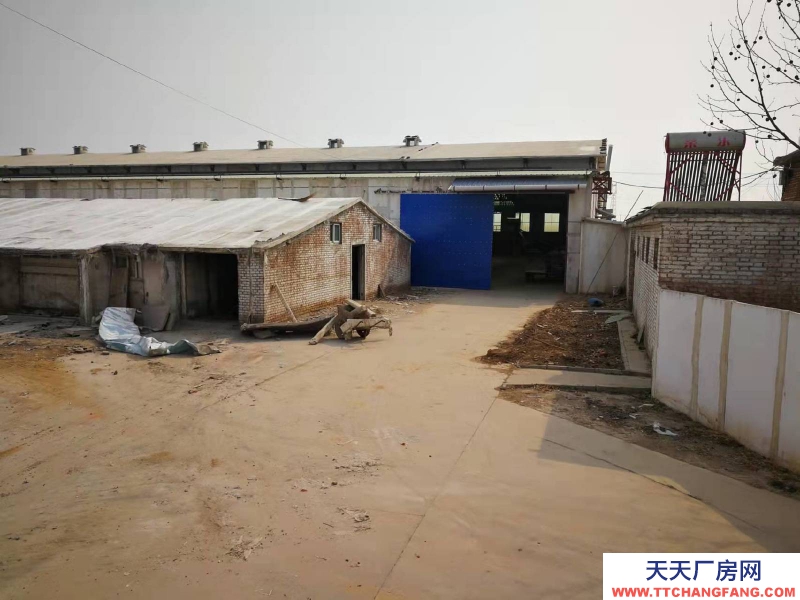 石家莊 高邑 鋼結(jié)構(gòu)大空間,廠房庫房辦公齊全,占地50畝,交通方便