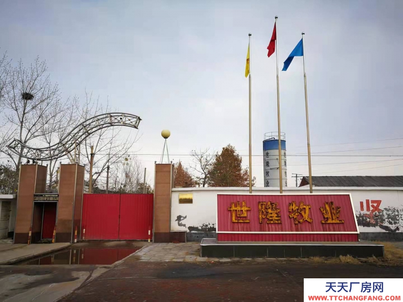 石家莊 高邑  鋼結(jié)構(gòu)大空間，廠房庫房辦公齊全，占地50畝，交通方便