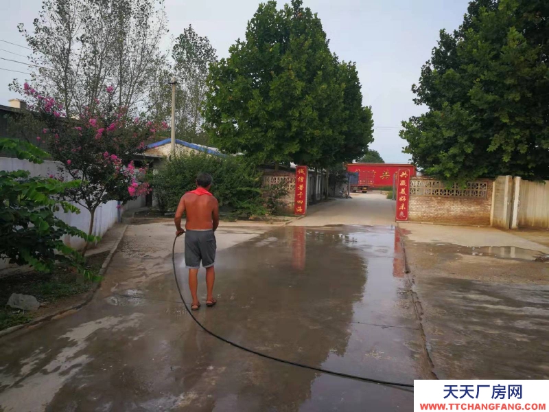 石家莊 高邑 鋼結(jié)構(gòu)大空間,廠房庫房辦公齊全,占地50畝,交通方便