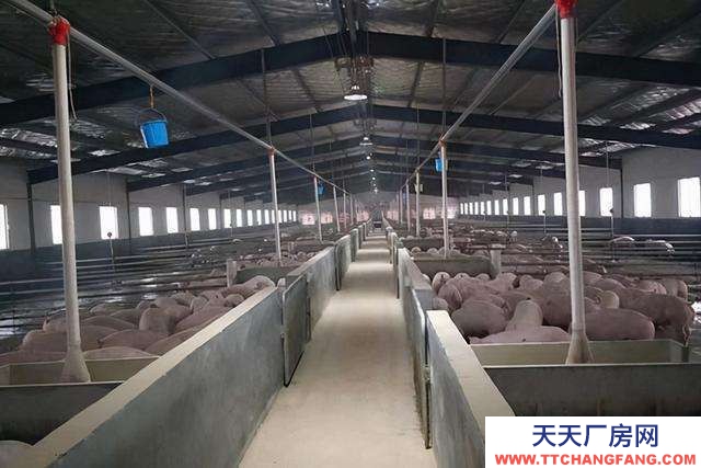 石家莊 深澤 出租養殖場20畝地水電辦公室齊全