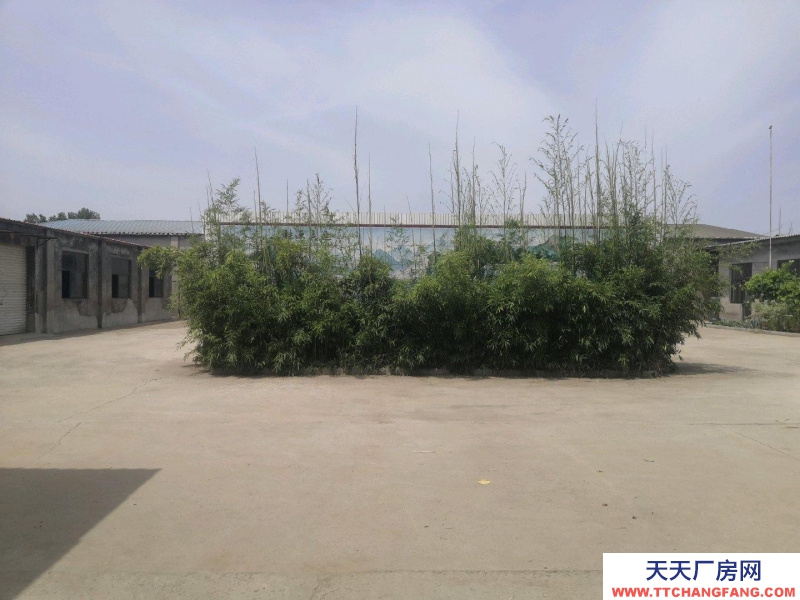 石家莊無極自建廠房,手續齊全,房東直租,價格面議