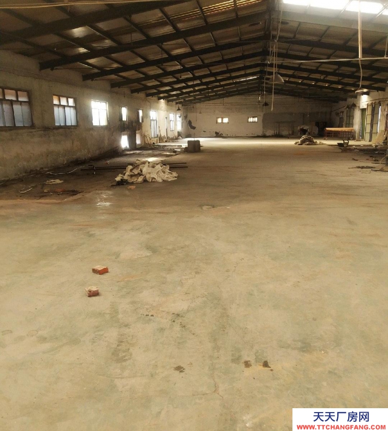 石家莊 寬敞明亮，適合電商入住