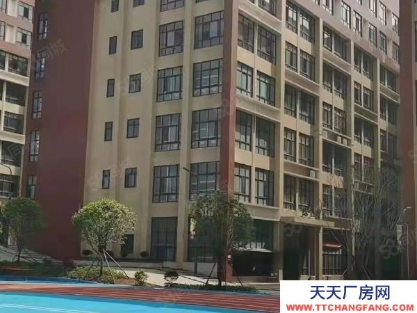 長沙市岳麓區標準混疑土框架結構有標準運動場地招租