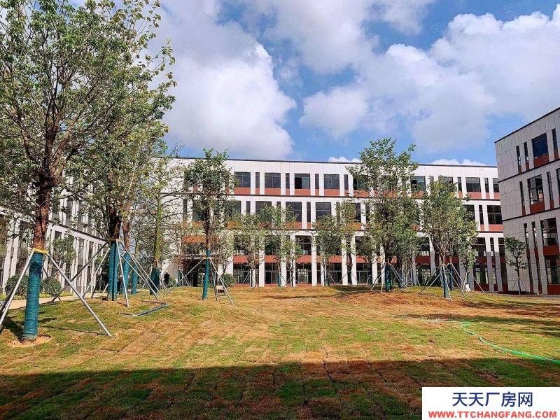 (出售) 廣州黃埔地鐵旁獨(dú)棟!平層1200~29000方,低價(jià)科技產(chǎn)業(yè)集聚