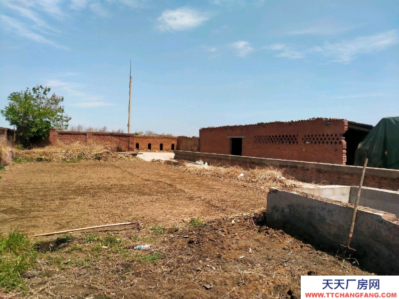 石家莊 元氏 107國道附近場地出租