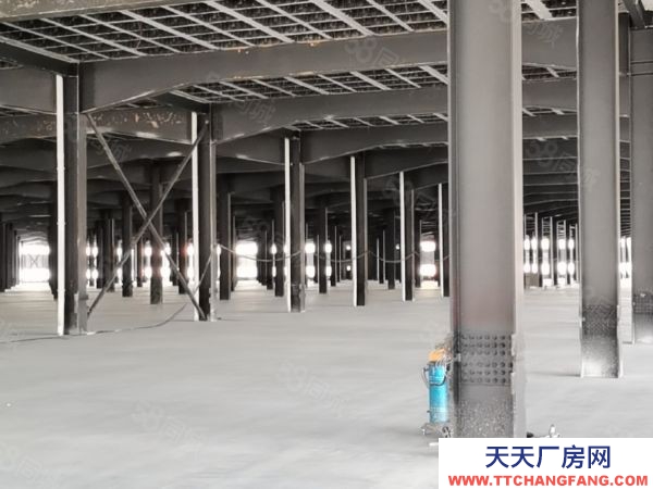 長沙市岳麓區麓谷 桐梓破西路60000平方鋼架結構倉庫