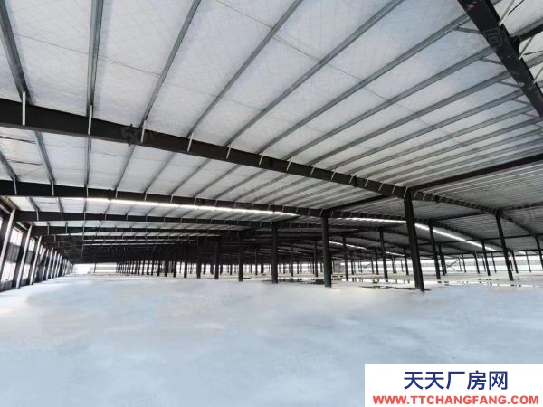 長(zhǎng)沙市岳麓區(qū) 河西岳麓區(qū)麓谷鋼構(gòu)廠房一樓單層行車行吊1000出租平