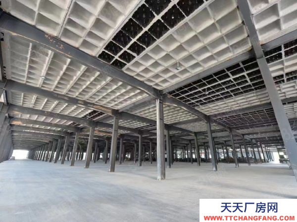 長(zhǎng)沙市岳麓區(qū) 河西岳麓區(qū)麓谷鋼構(gòu)廠房一樓單層行車行吊1000出租平