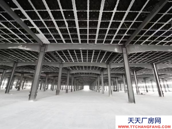 長(zhǎng)沙市岳麓區(qū) 河西岳麓區(qū)麓谷鋼構(gòu)廠房一樓單層行車行吊1000出租平