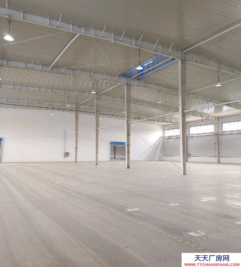 石家莊 元氏 丙二類高臺庫,萬平高臺庫出租