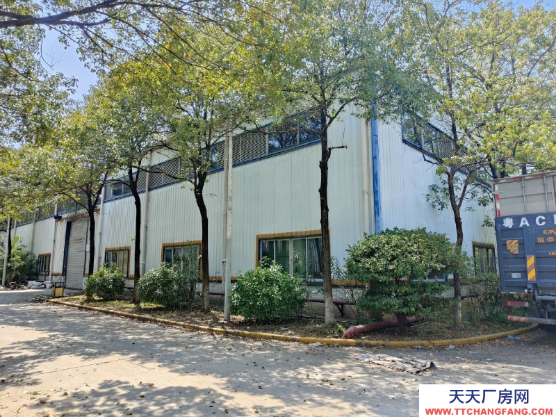 (出租) 廣州從化鰲頭鎮(zhèn)1200方單一層滴水高低價(jià)環(huán)評(píng)好辦低價(jià)廠房出租