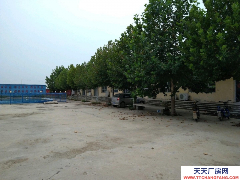 石家莊 趙縣城南獨立廠區(qū)四周清凈高速省道交通便利