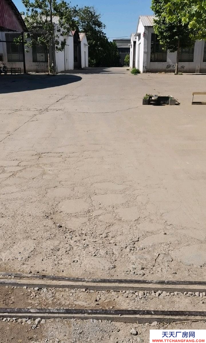 石家莊 趙縣 庫房兩間，面積各700平米，高四到五米