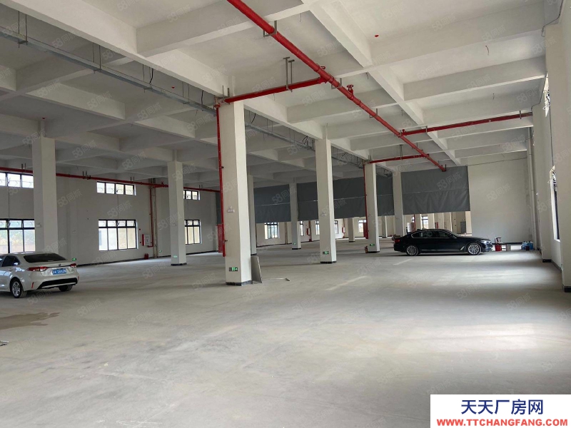 (出租) 廣州從化獨門獨院全新倉庫出租,大小可分租