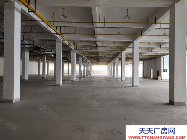 (出租) 武漢東西湖3000平米鋼構倉庫和6000平米獨棟倉庫出租