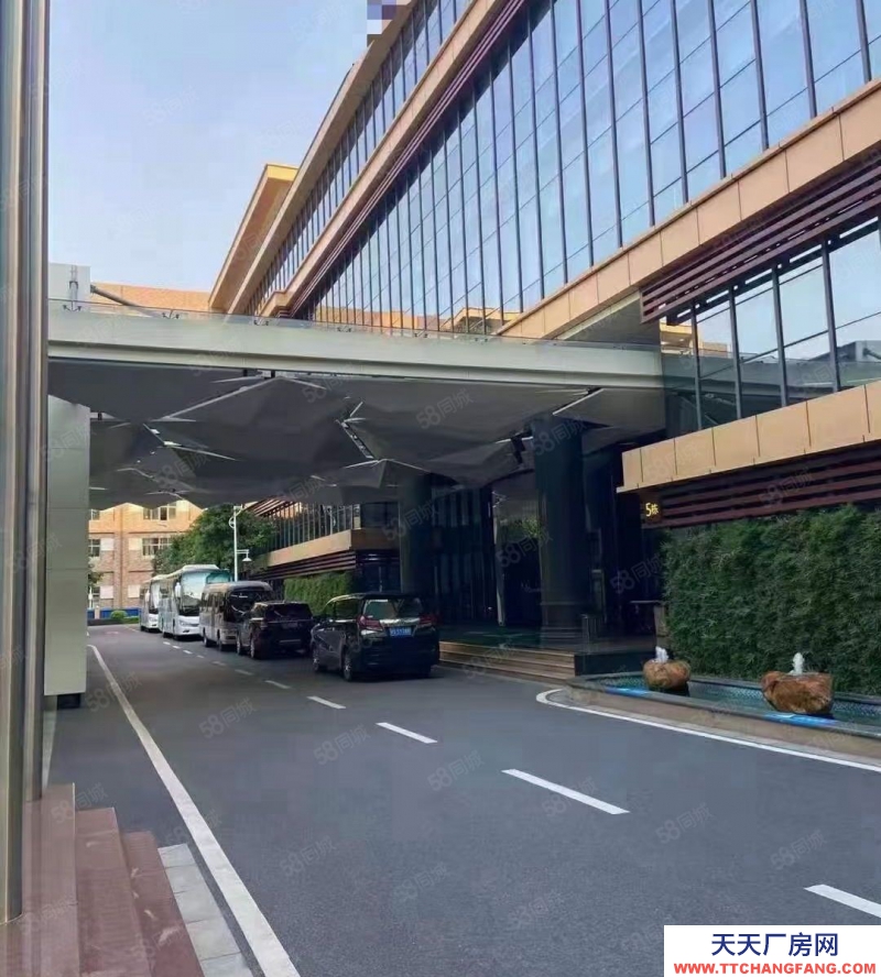 (出售) 廣州南沙區中心位置占地5.6畝獨院出售 近臨地鐵套配完善