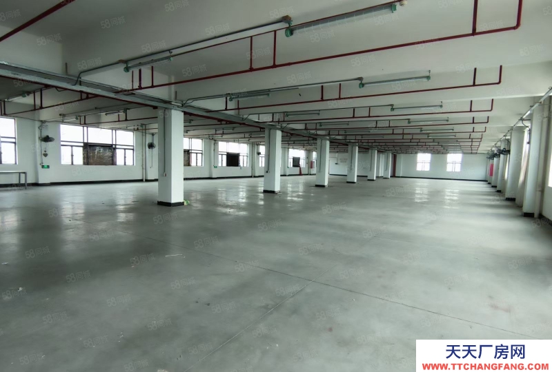 (出售) 廣州南沙全新裝修獨(dú)門獨(dú)院3500方標(biāo)準(zhǔn)廠房出售,價格便宜證件齊全