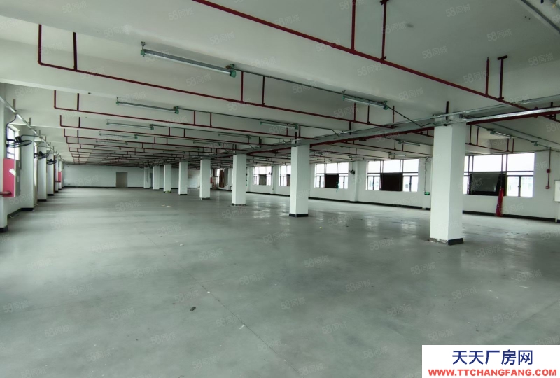 (出售) 廣州南沙全新裝修獨(dú)門獨(dú)院3500方標(biāo)準(zhǔn)廠房出售,價格便宜證件齊全