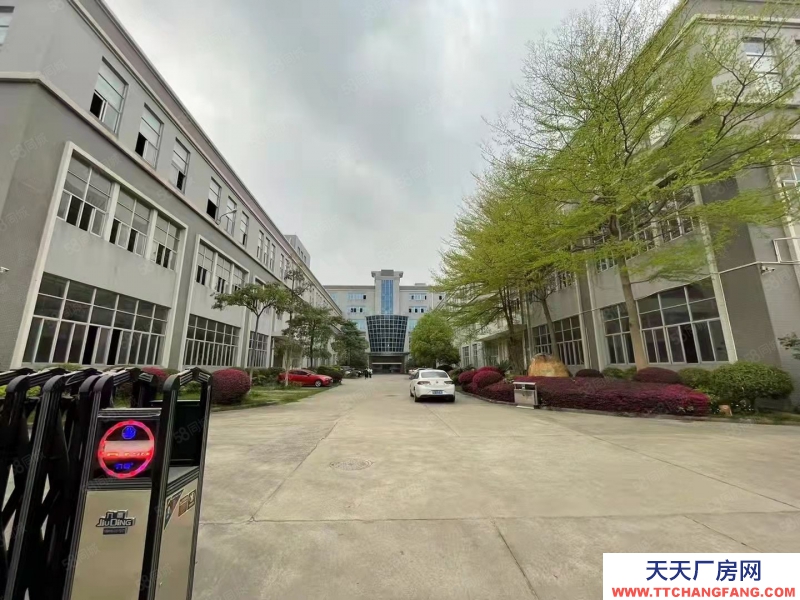 (出租) 廣州南沙東涌高端科創(chuàng)園區(qū)新裝修廠房辦公室倉庫300起租帶環(huán)評