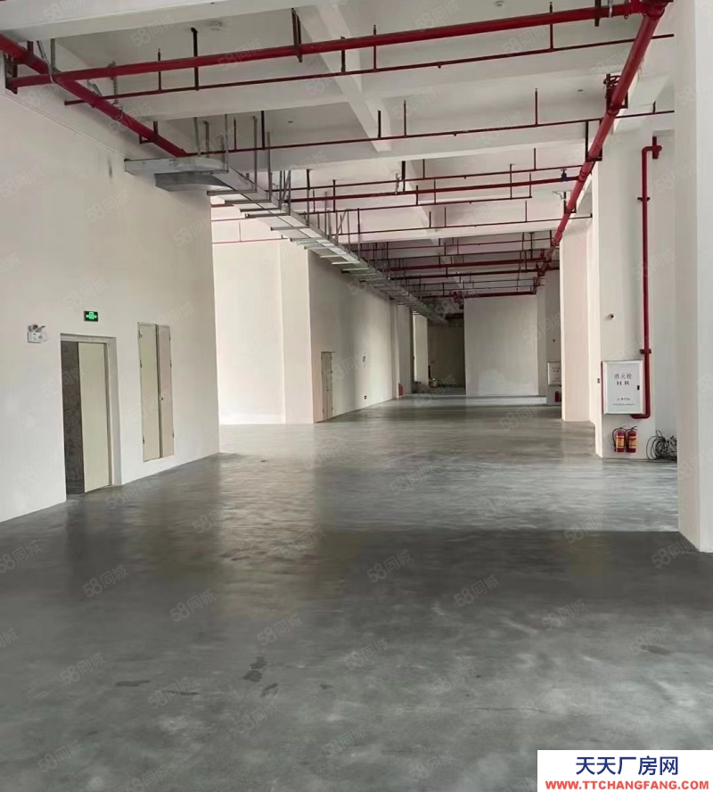 (出租) 廣州南沙45000方全新高質量多功能園區廠房,精裝修,可分租