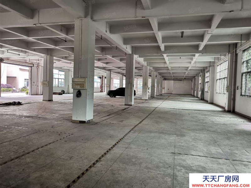 (出租) 廣州南沙一手房東全新廠房出租,證件齊全,空地面積大近國道大小分租