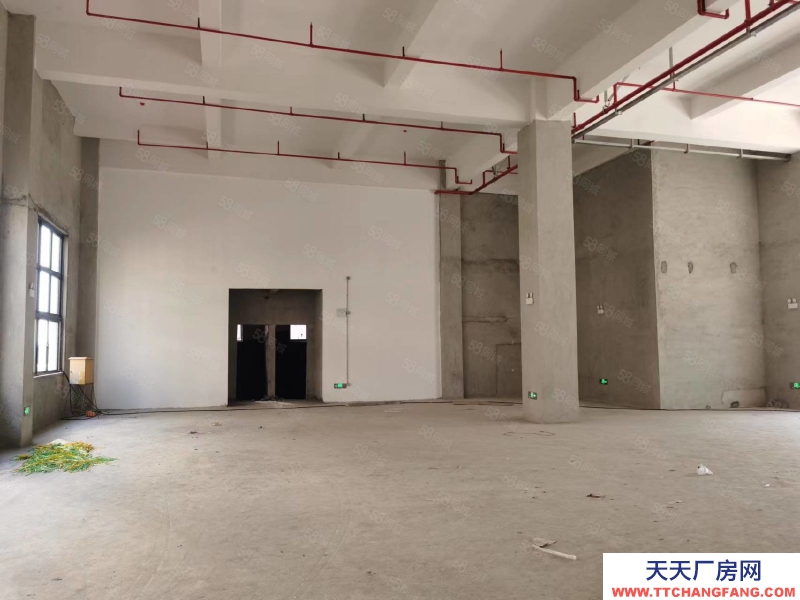 (出租) 廣州南沙一手房東全新廠房出租,證件齊全,空地面積大近國道大小分租