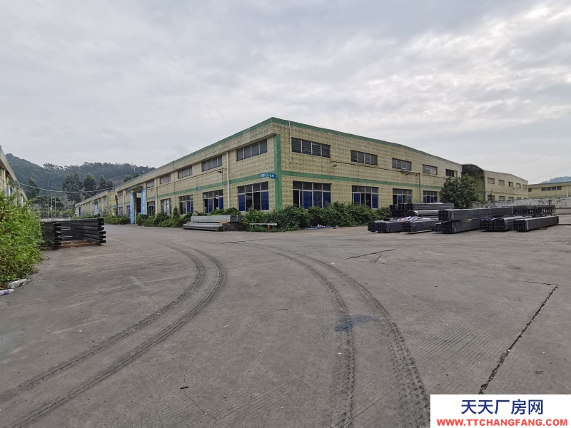 (出租) 廣州中高15米帶天車，南沙東涌工業區空出8000方，可分租