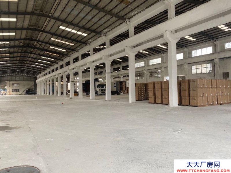 (出租) 廣州南沙攬核鎮近高速新出高臺倉庫7000方，超大空地，滴水9米